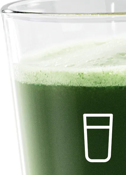 Bosch 150W Slow Juicer – MESM731MIN  Brushed Stainless Steel Cold Press Juicer – Quiet Operation