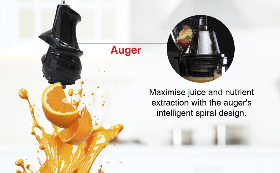Häfele Magnus Cold Press Juicer- 250W, SS Body ,500ml Capacity , Low Noise , Grey , Slow Juicing for Maximum Nutrition,  All-in-1 Fruit & Vegetable Juicer